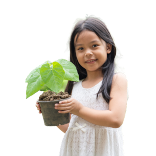 iso-14001-300x300 1 image